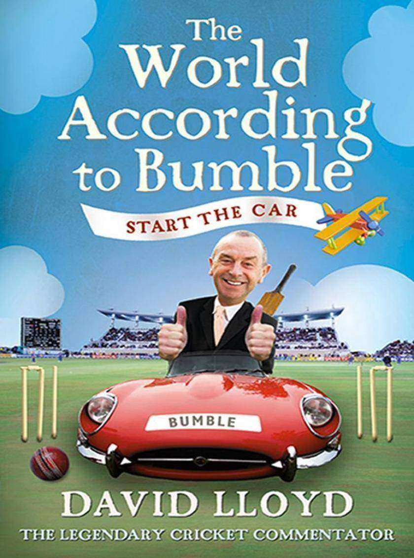 Start the Car: The World According to Bumble