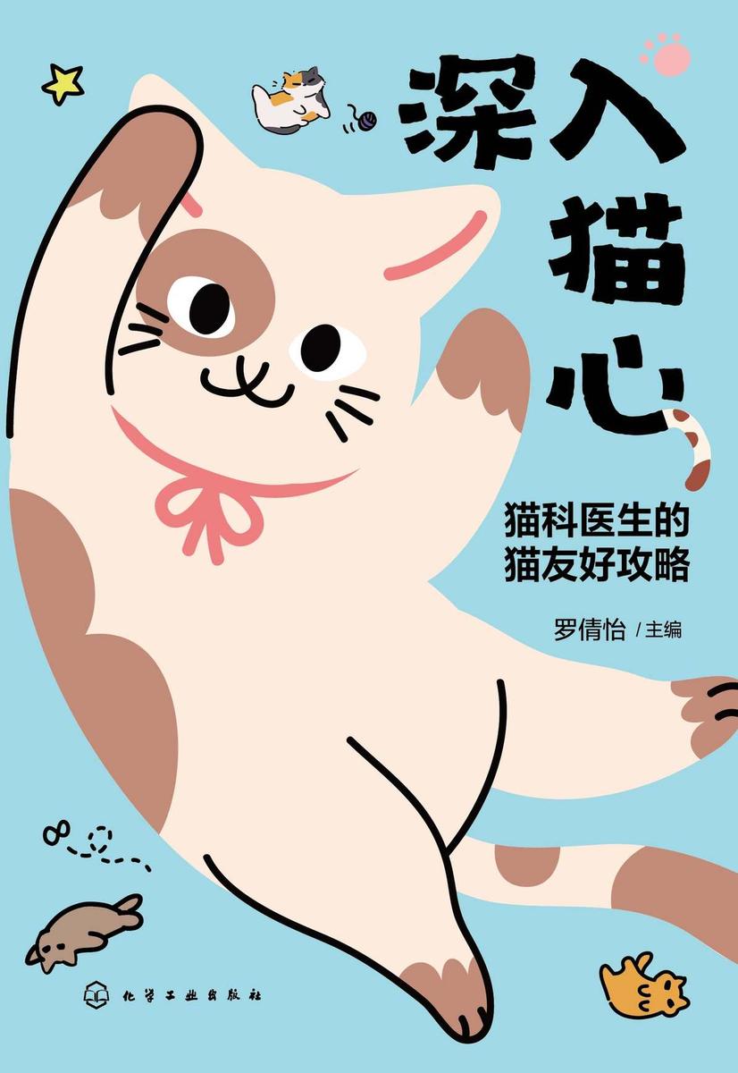 深入猫心:猫科医生的猫友好攻略