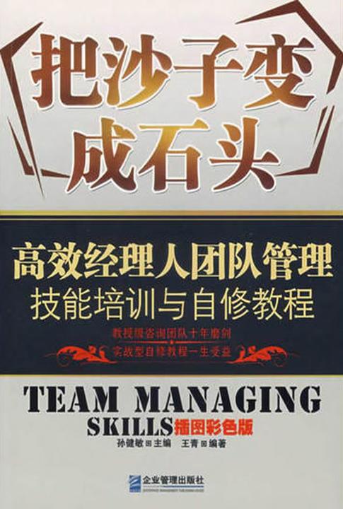 把沙子变石头：高效经理人团队管理技能培训与自修教程