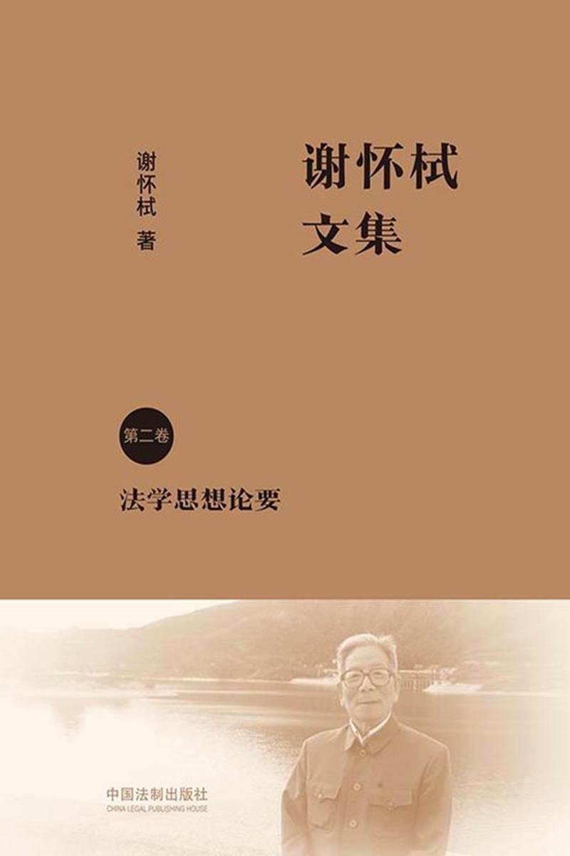 谢怀栻文集(第二卷)