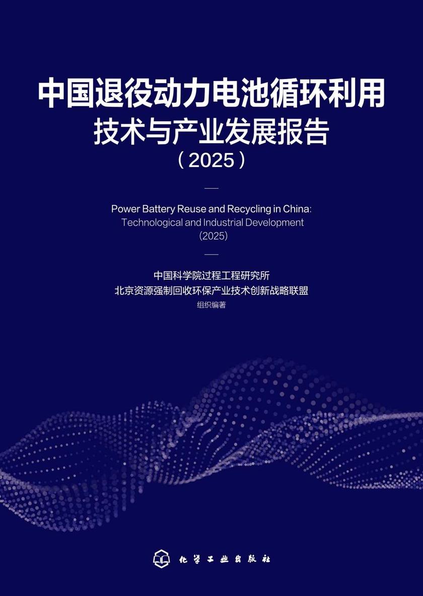 中国退役动力电池循环利用技术与产业发展报告(2025)