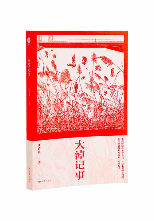 大淖记事:汪曾祺经典散文