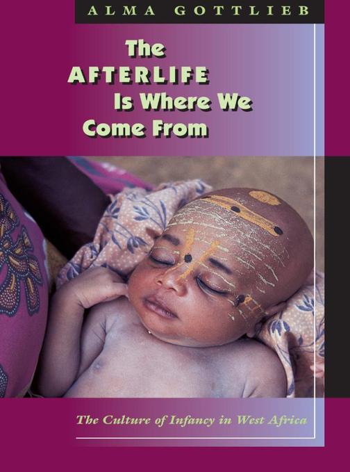 Afterlife Is Where We Come From