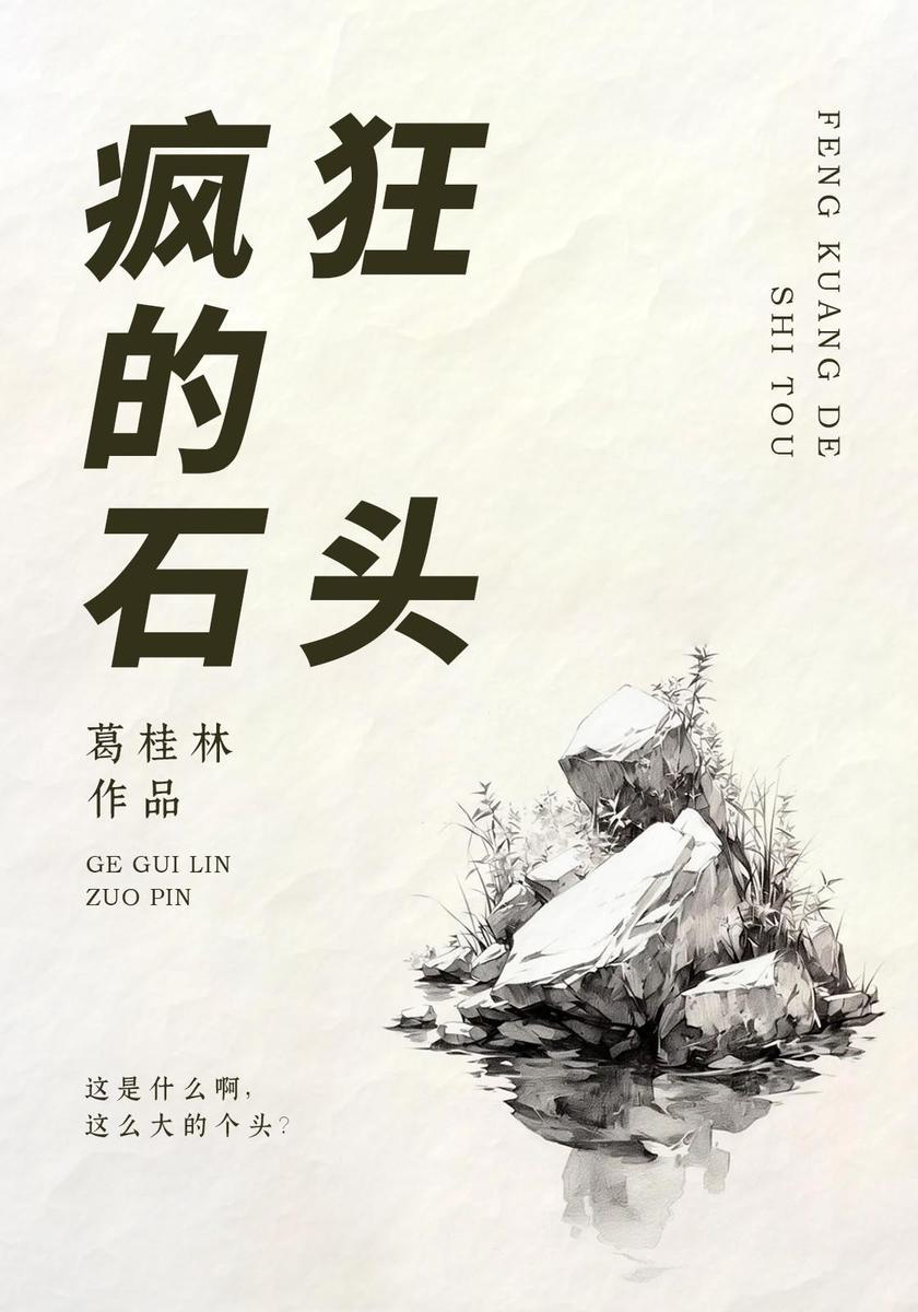 疯狂的石头