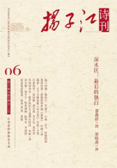 扬子江 双月刊 2011年06期(电子杂志)(仅适用PC阅读)