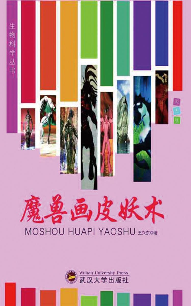 魔兽画皮妖术