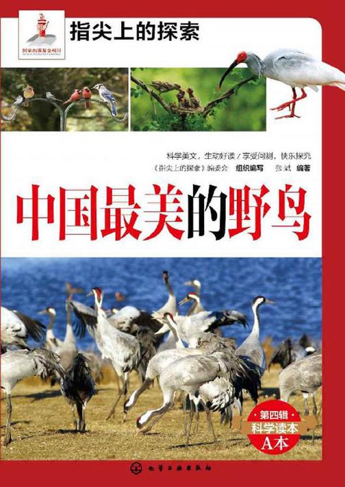 中国最美的野鸟