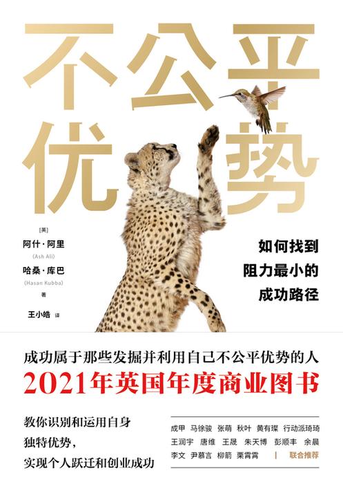 不公平优势:如何找到阻力最小的成功路径