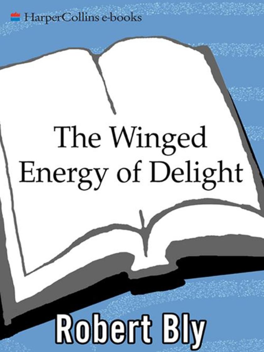 The Winged Energy of Delight