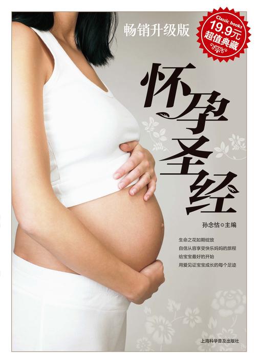 怀孕圣经
