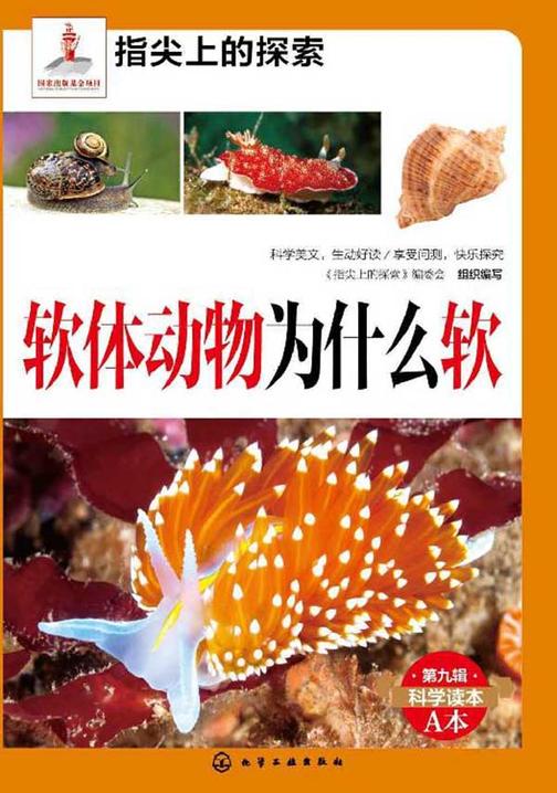 软体动物为什么软