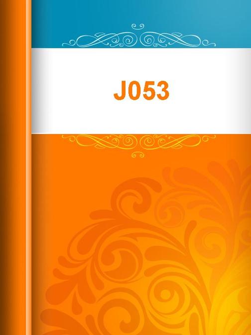 J053