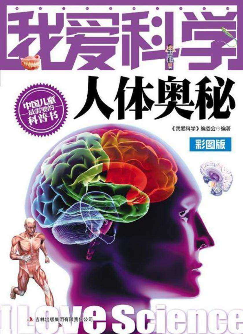 人体奥秘