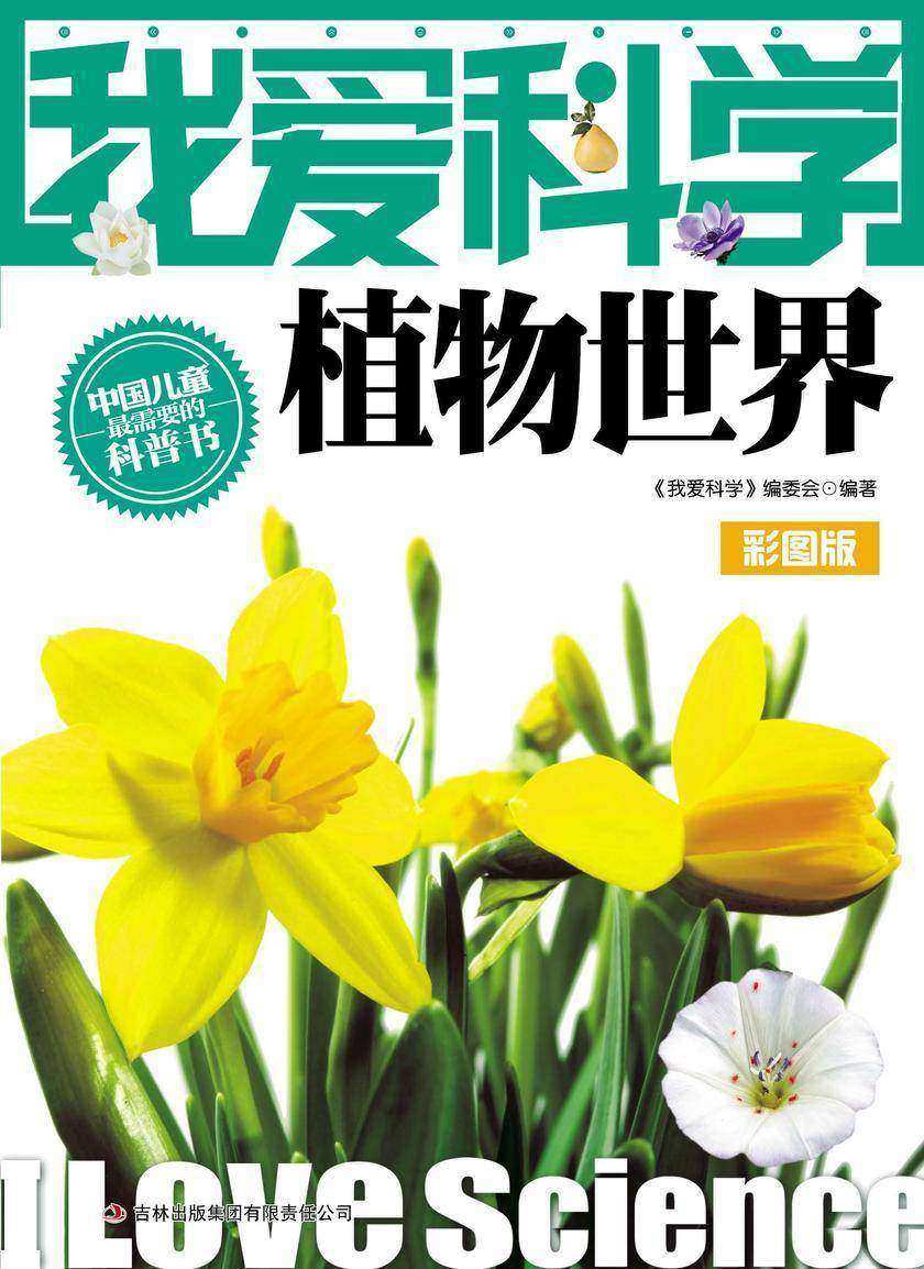 植物世界