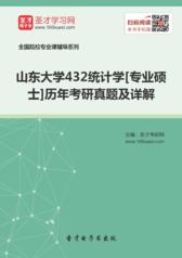山东大学432统计学[专业硕士]历年考研真题汇编