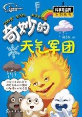 科学地雷阵系列丛书:奇妙的天气军团