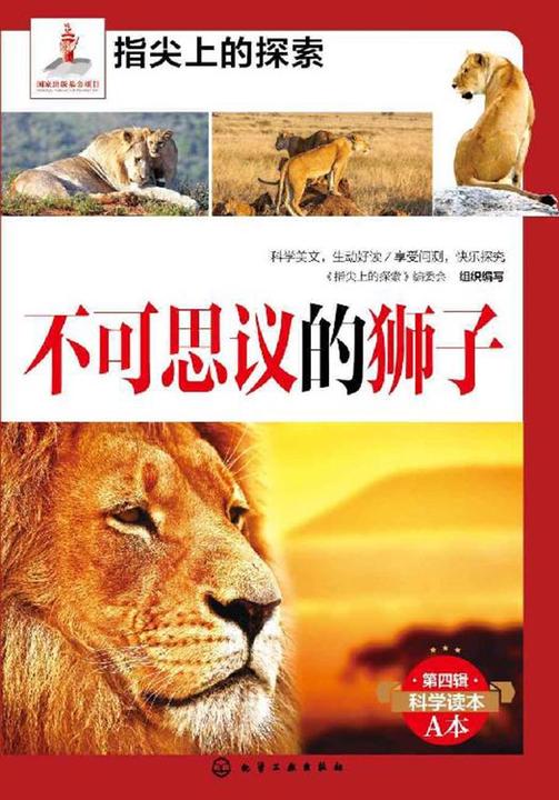 不可思议的狮子