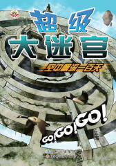 GO！GO！GO！超级大迷宫：空中飘流一百天(仅适用PC阅读)