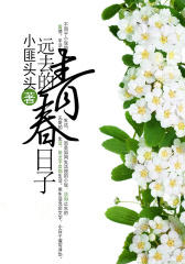 远去的青春日子