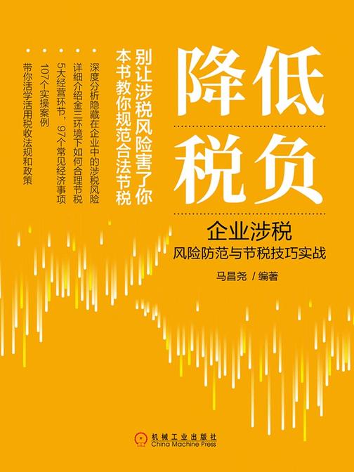 降低税负：企业涉税风险防范与节税技巧实战