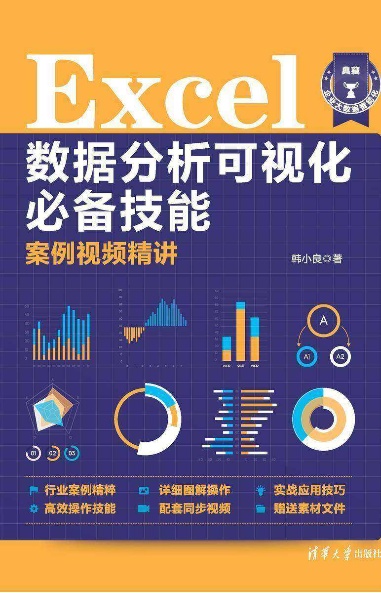 Excel数据分析可视化技能案例视频精讲