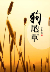 狗尾草