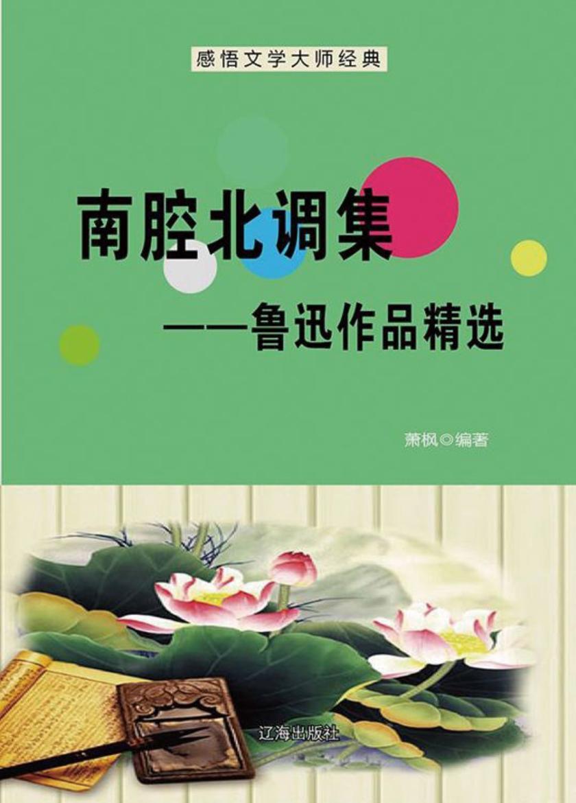 南腔北调集——鲁迅作品精选