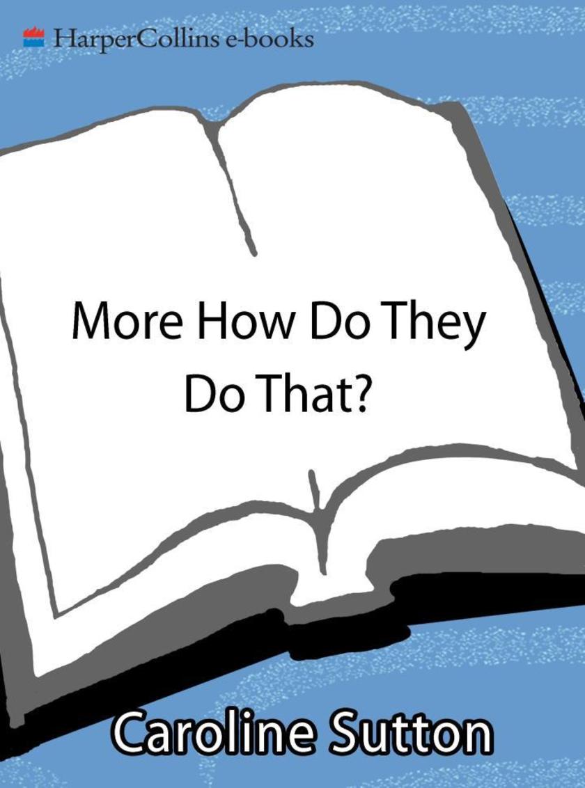More How Do They Do That?