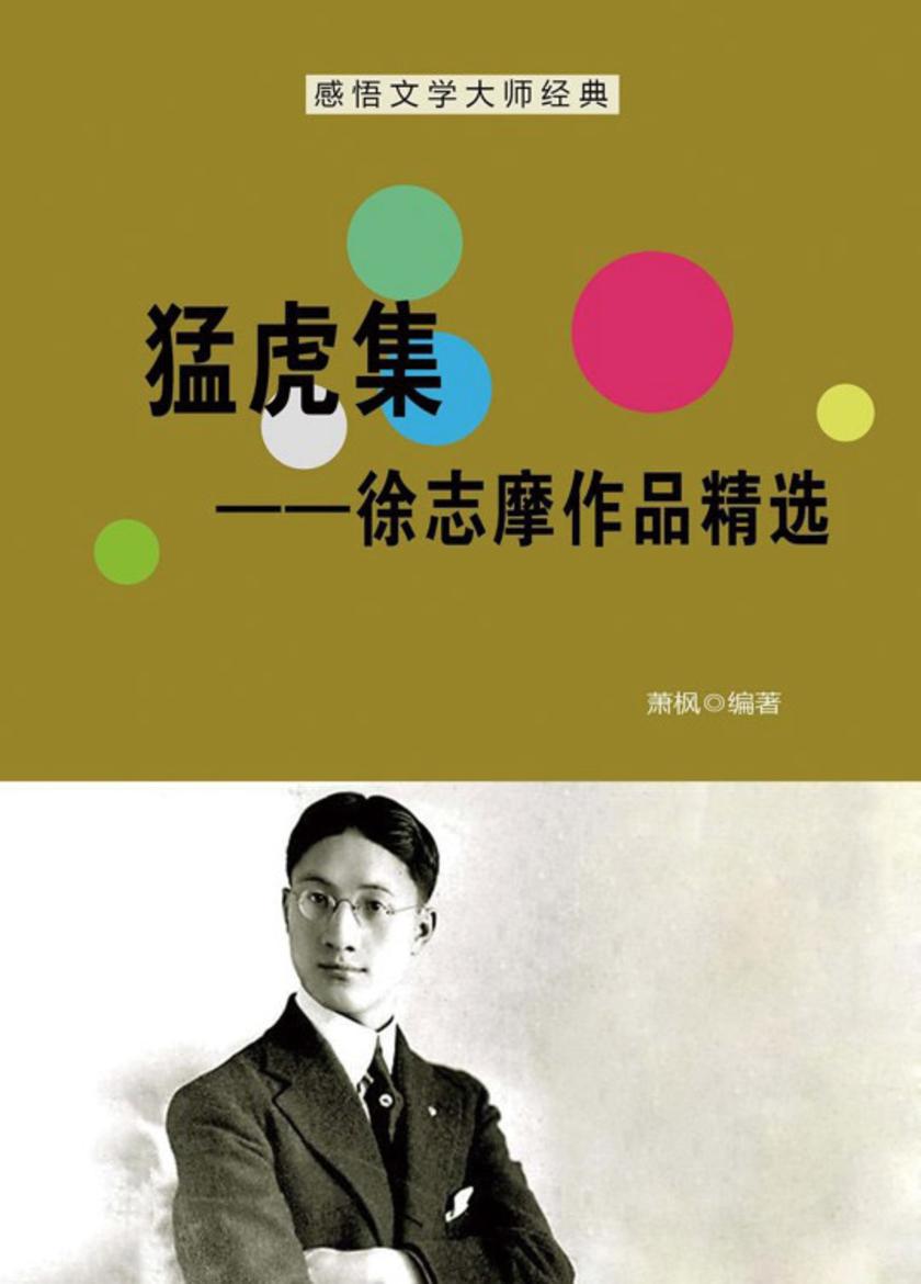 猛虎集——徐志摩作品精选