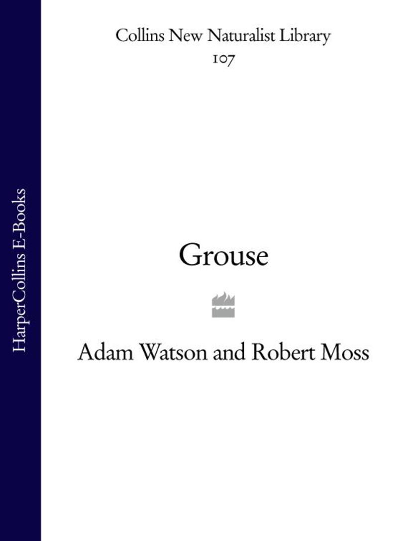 Grouse (Collins New Naturalist Library, Book 107)