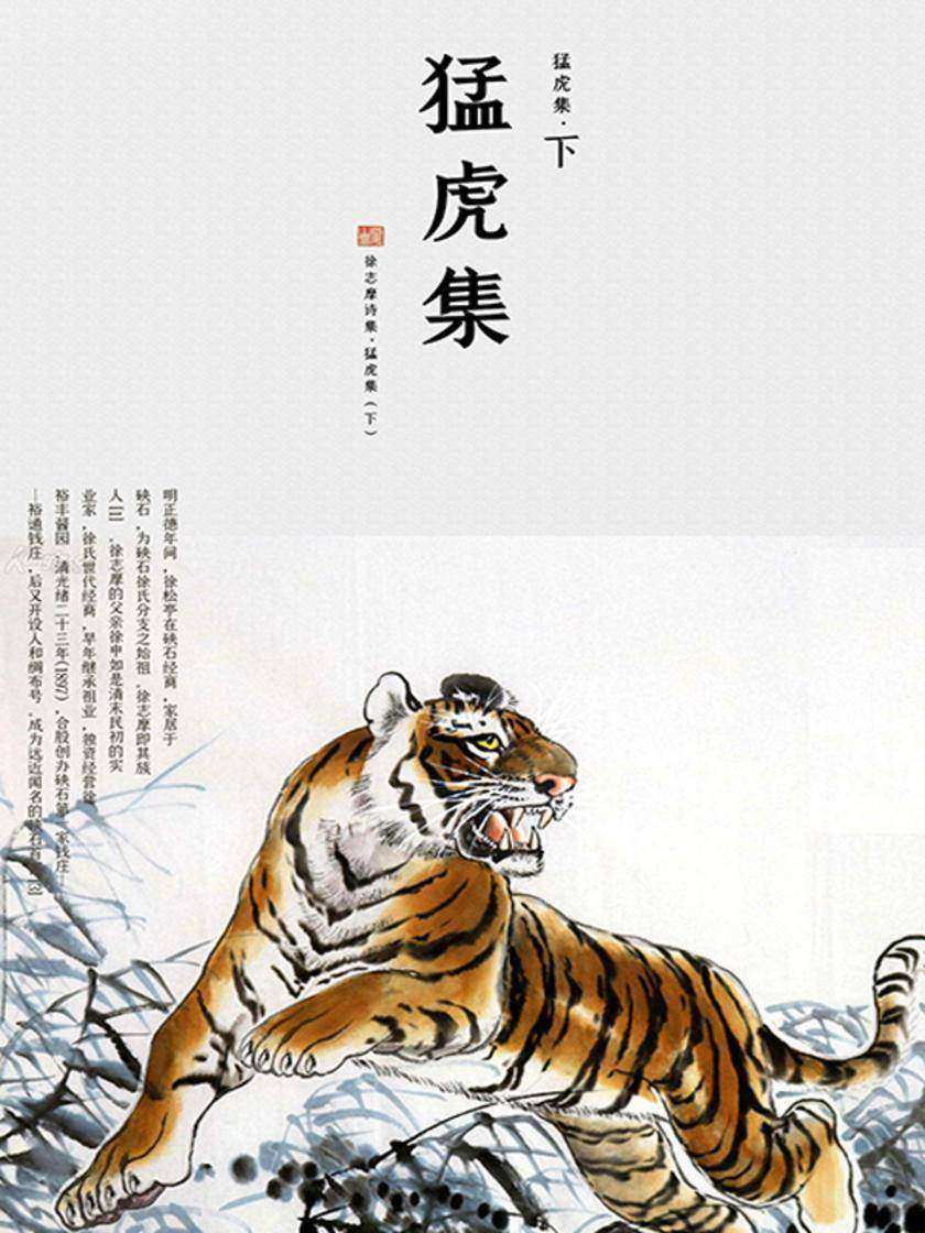 猛虎集(下)