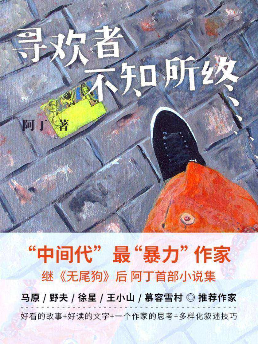 寻欢者不知所终【阿丁以一种与道德、制度、合理、文明保持距离的态度,试图呈现、追问生活与人性存在的各种可能性,充分展现了他对各类题材的驾驭力。】