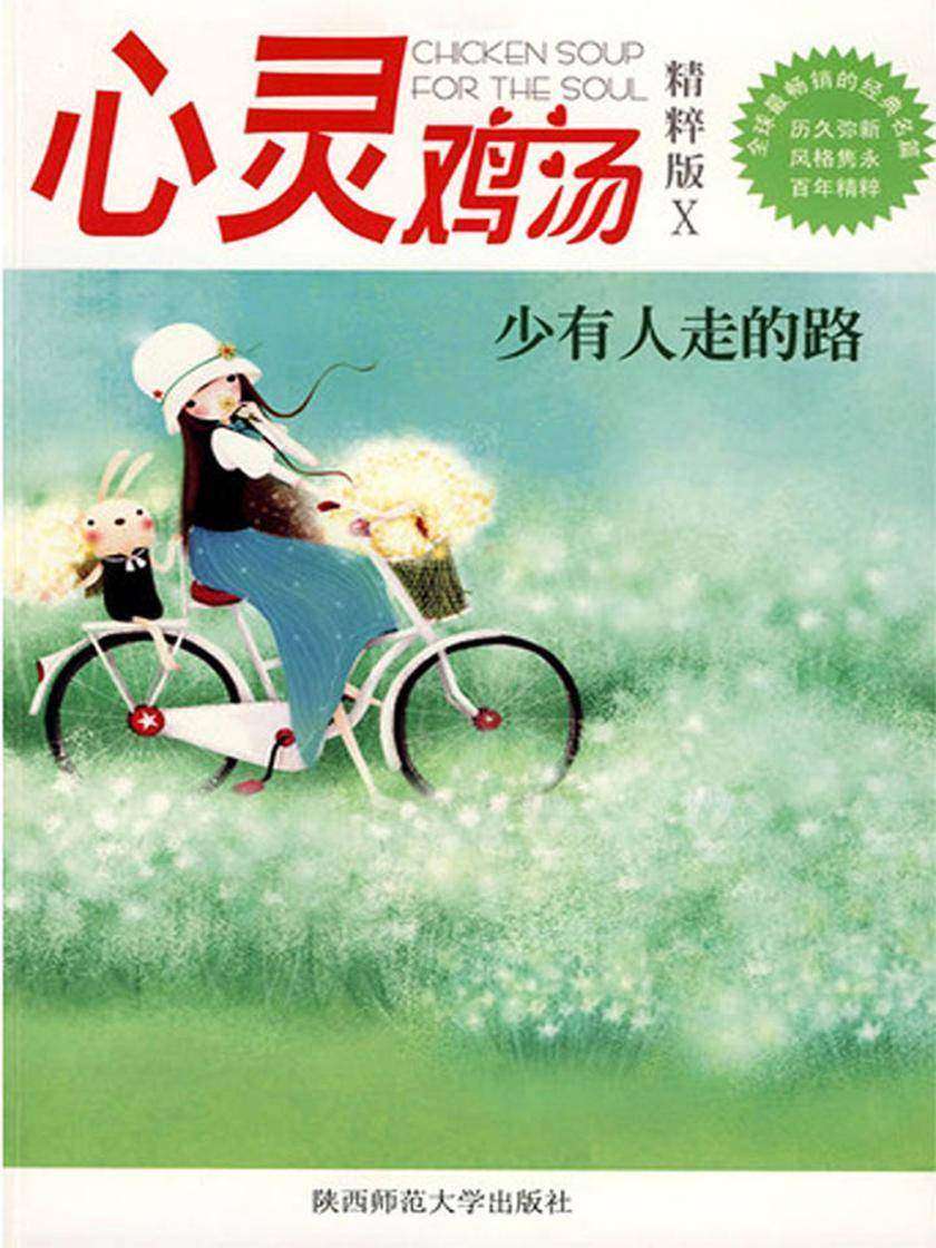 心灵鸡汤精粹版Ⅹ：少有人走的路