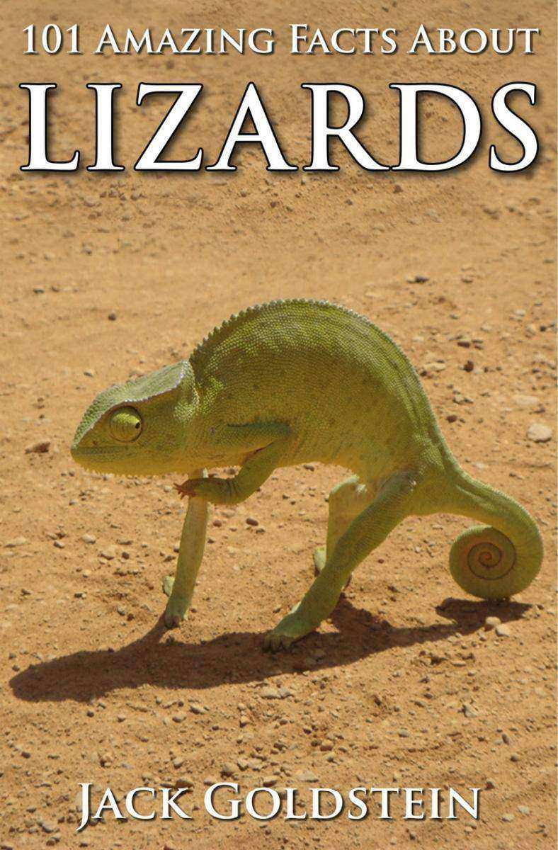 101 Amazing Facts about Lizards