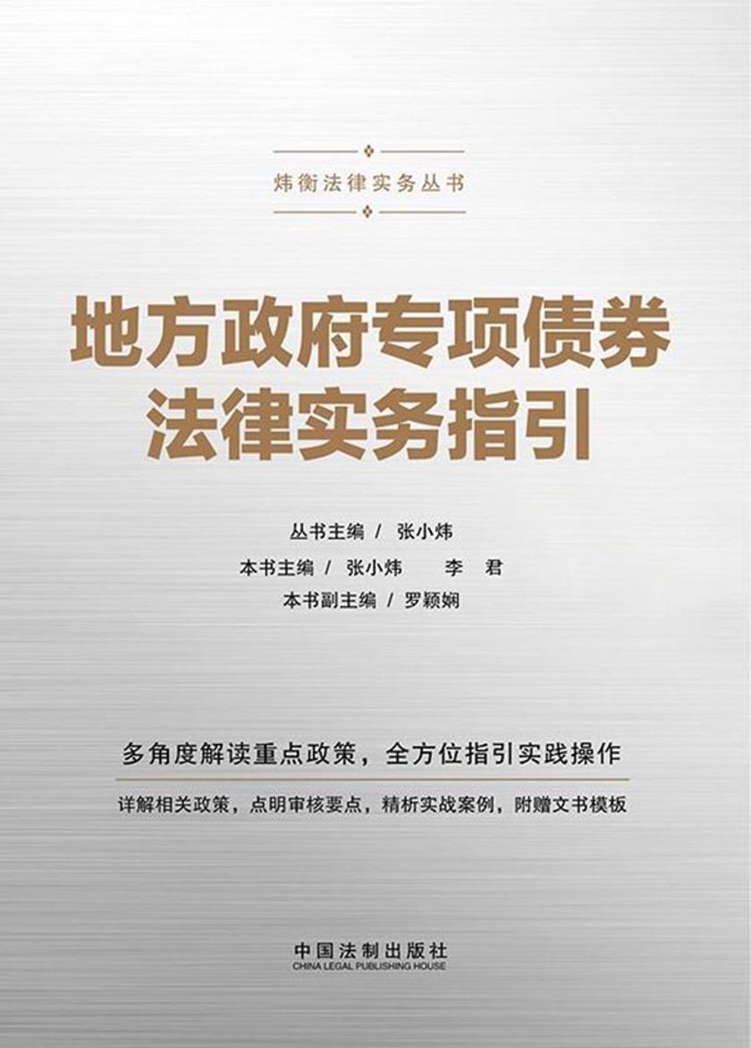 地方政府专项*法律实务指引