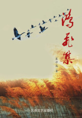 鸿飞集