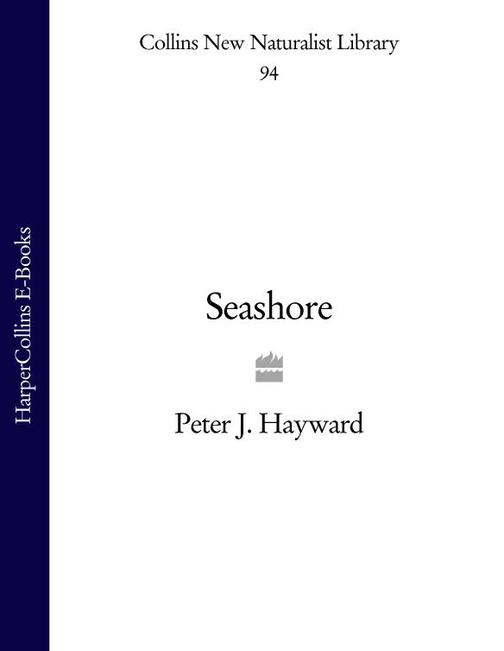 Seashore (Collins New Naturalist Library, Book 94)