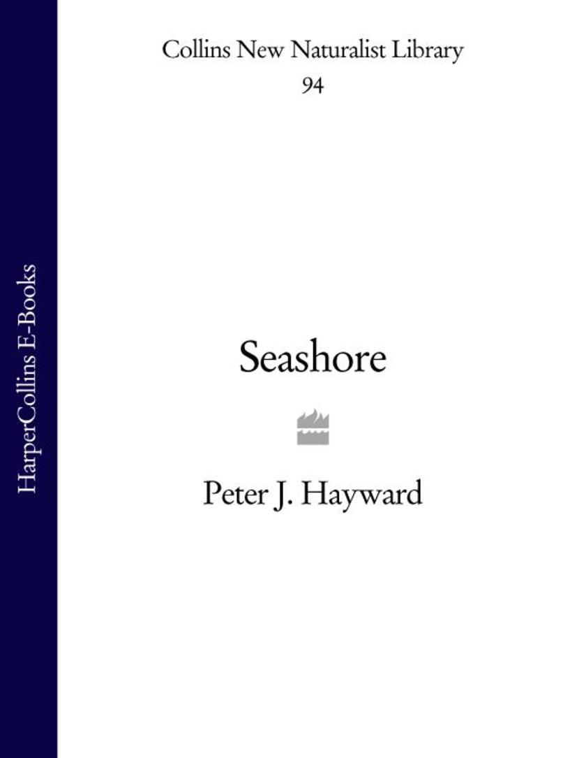 Seashore (Collins New Naturalist Library, Book 94)