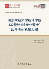 山东财经大学统计学院432统计学[专业硕士]历年考研真题汇编