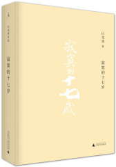 寂寞的十七岁(试读本)