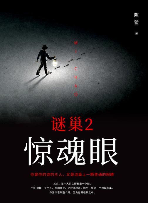 谜巢2:惊魂眼