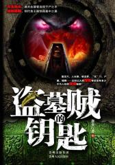 盗墓贼的钥匙(试读本)