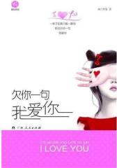 欠你一句我爱你(试读本)