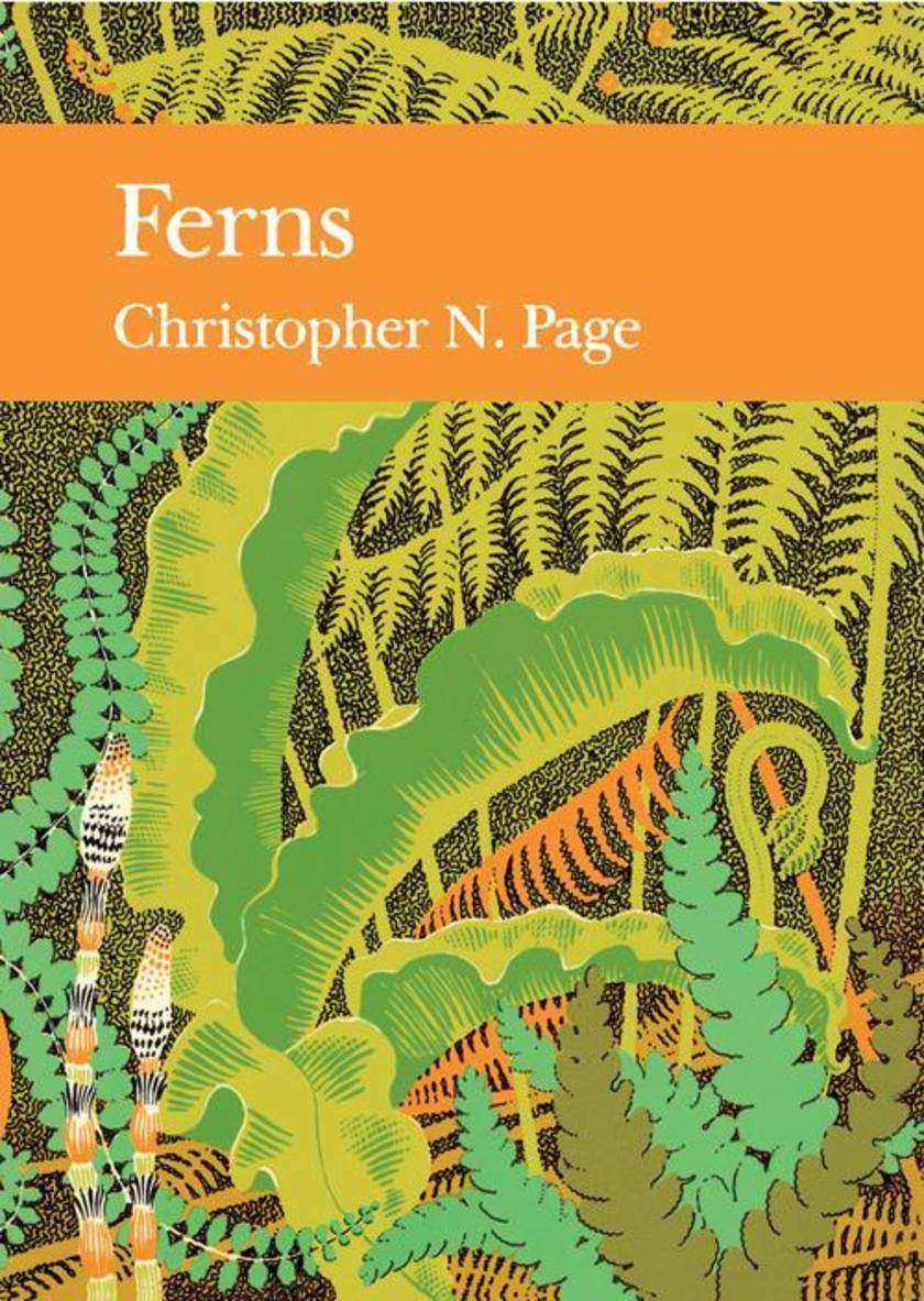 Ferns (Collins New Naturalist Library, Book 74)