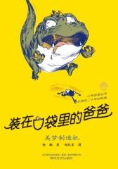 装在口袋里的爸爸：美梦制造机